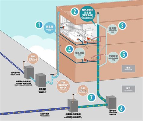 透天排水管共用|集合住宅同層排水工法之研討